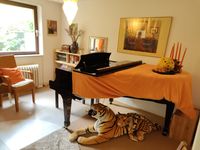 Unsere Raeume fuer Klavierunterricht - Tigerzimmer